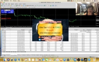 Trader nào không có khả năng trade Forex live