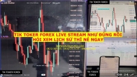 TIK TOKER FOREX LIVE STREAM NHƯ Đ&Uacute;NG RỒI HỎI XEM LỊCH SỬ TH&Igrave; N&Eacute; NGAY