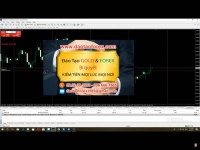 Nhà đầu tư Forex cũng đừng nghĩ bản thân mình quá anh hùng 