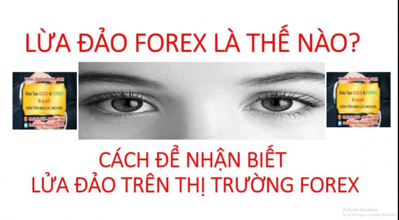 THẾ NÀO LÀ LỪA ĐẢO FOREX