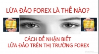 THẾ NÀO LÀ LỪA ĐẢO FOREX