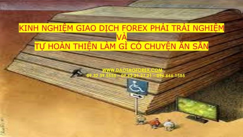 KINH NGHIỆM GIAO DỊCH FOREX PHẢI TRẢI NGHIỆM VÀ TỰ HOÀN THIỆN LÀM GÌ CÓ CHUYỆN ĂN SẴN