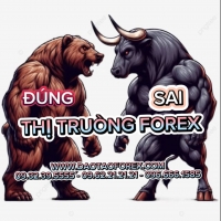 THỊ TRƯỜNG FOREX ĐÚNG HAY SAI CỨ CHỨNG MINH KỸ NĂNG TRADE LÀ HIỂU LIỀN