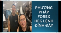 NGHE BỌN PHÂN TÍCH NHẬN ĐỊNH THỊ TRƯỜNG FOREX NÓI PHÁT TỞM