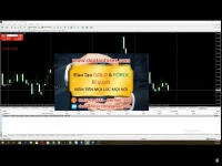 Nhà đầu tư Forex muốn giao dịch Forex thành công trên thị trường