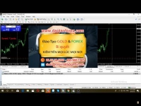 Thứ nhất bản thân chính nhà đầu tư Forex đã hiểu rõ năng lực