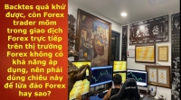 THỊ TRƯỜNG FOREX HAY LĨNH VỮNG NÀO CŨNG CẦN PHẢI CHỨNG MINH THỰC TIỄN