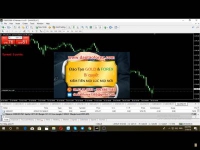 Một nhà đâu tư Forex khi tham gia vào thị trường