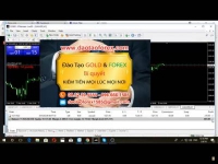 Nhà đầu tư có Forex có thể theo dõi các video giao dịch