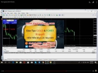 Trung tâm đào tạo Forex và đầu tư vàng trong suốt thời gian