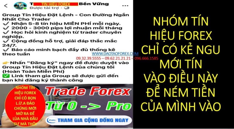 NHÓM TÍN HIỆU FOREX CHỈ CÓ KẺ NGU MỚI TÍN VÀO ĐIỀU NÀY ĐỂ NÉM TIỀN CỦA MÌNH VÀO