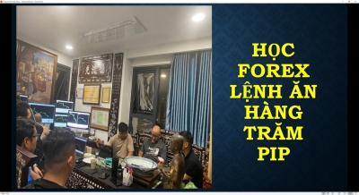 GIAO DỊCH FOREX ĐƯỢC THÌ CHỨNG MINH THẾ THÔI