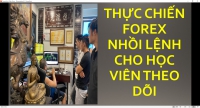 BỌN KHÔNG GIAO DỊCH FOREX ĐƯỢC GÁY NHƯ ĐÚNG RỒI THẾ MỚI HÀI