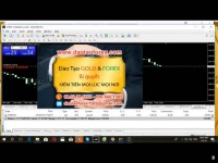 Mọi giá trị trong đầu tư Forex, mọi kiến thức giao dịch Forex