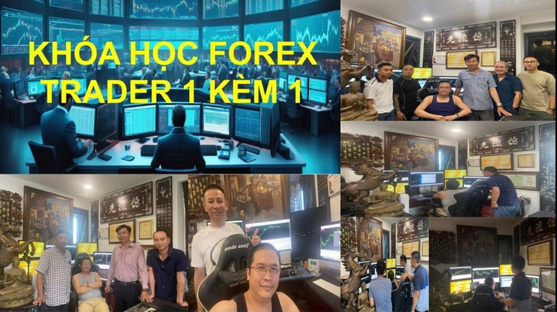 KHÓA HỌC FOREX TRADER 1 KÈM 1