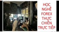 HỌC NGHỀ FOREX THỰC CHIẾN TRỰC TIẾP