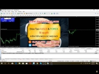 Trên thị trường Forex đối với nhà đầu tư Forex mới cần phải tìm hiểu