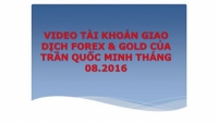 web www.daotaoforex.com gửi tới nhà đầu tư Forex &amp; Gold tài khoản giao dịch của anh Trần Quốc Minh trong tháng 08.2016