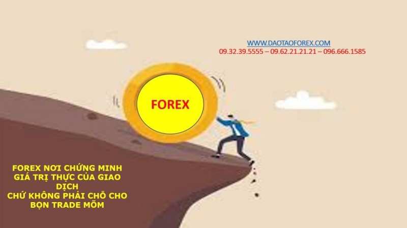 FOREX NƠI CHỨNG MINH GIÁ TRỊ THỰC CỦA GIAO DỊCH CHỨ KHÔNG PHẢI CHỖ CHO BỌN TRADE MÕM