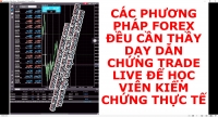 CÁC PHƯƠNG PHÁP FOREX ĐỀU CẦN THẦY DẠY DẪN CHỨNG TRADE LIVE ĐỂ HỌC VIÊN KIỂM CHỨNG THỰC TẾ