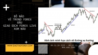 BỐ NÀO VẼ TREND FOREX ĐÂU GIAO DỊCH FOREX LIVE XEM NÀO