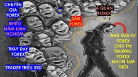 TRADER TRIỆU USD MÁNH KHÓE LỪA ĐẢO FOREX MÀ THÔI