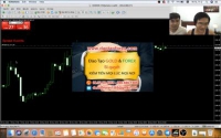 Forex Trader tham gia vào thị trường Forex mà đốt cháy giai đoan