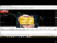 Một nhà đầu tư Forex khi tham gia vào thị trường