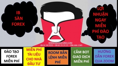 NHỮNG CHIÊU LỪA ĐẢO FOREX CỦA IB SÀN FOREX ĐỘI LỐT MIỄN PHÍ