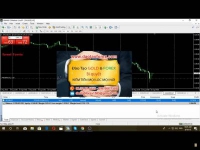 Rất nhiều nhà đầu tư Forex tham gia vào thị trường này dẫn đến thua lỗ một cách chầm trọng