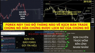 FOREX NÀY TAO ĐỐ THẰNG NÀO VẼ KỊCH BẢN TRADE CHÚNG NÓ DẪN CHỨNG ĐƯỢC LỊCH SỬ CỦA CHÚNG ĐÓ