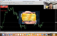 Đã bước ra đào tạo giao dịch Forex, bản thân chính những người thầy dạy Forex