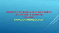 Sau một hồi trao đổi về tài khoản giao dịch của khách hàng, thầy Trần Quốc Minh đã đồng ý nhận cứu tài khoản này về ngưỡng 20.000 usd.